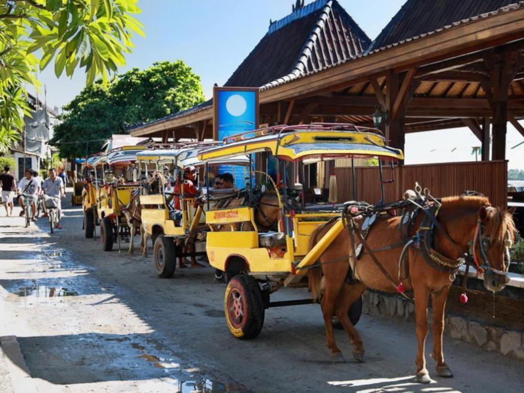 Pinkcoco Gili Trawangan - Constant Surprises - For Cool Adults Only Hotell Exteriör bild